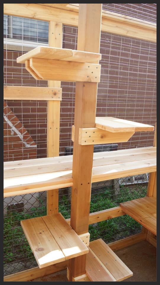 cat outdoor enclosure