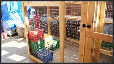 cat outdoor enclosure